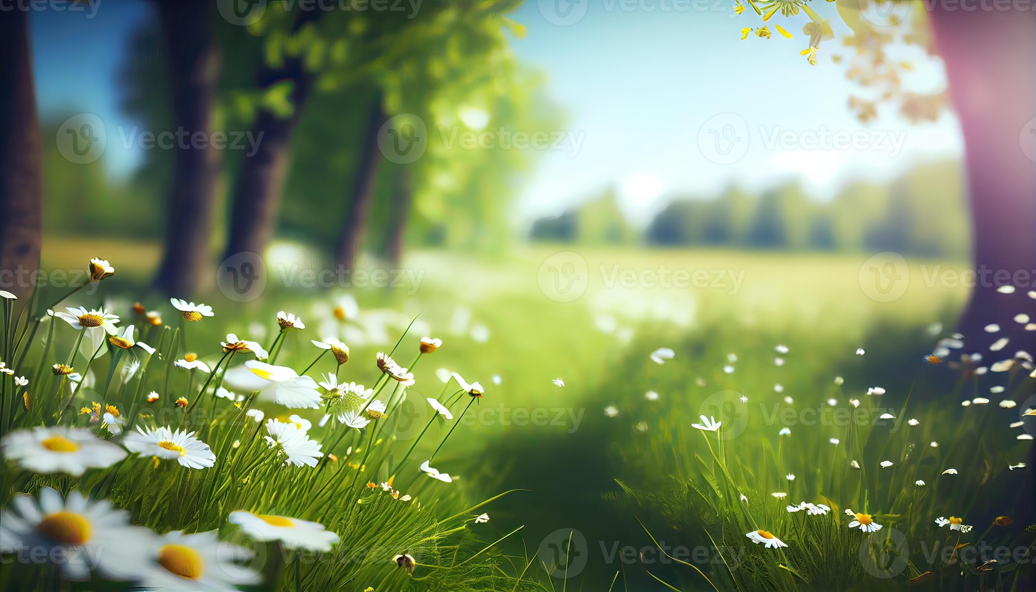 Nature Image 1